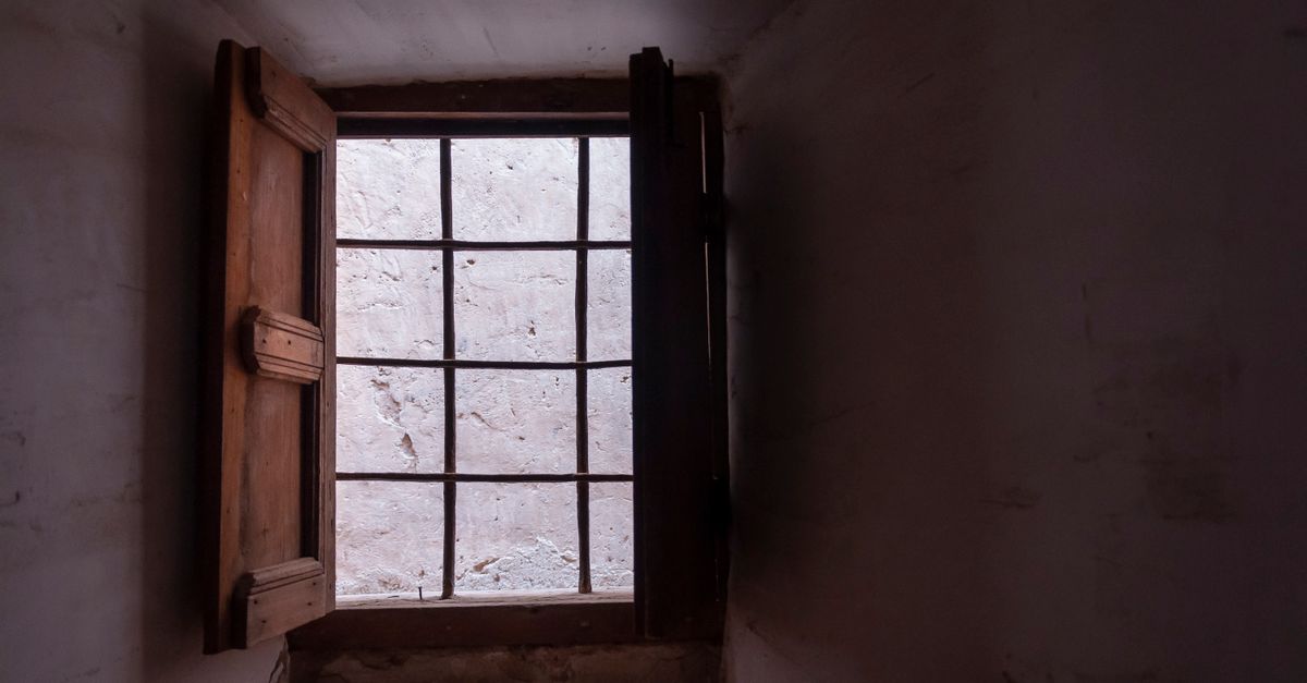 Habitación de madera con ventana que da a un bosque de montaña